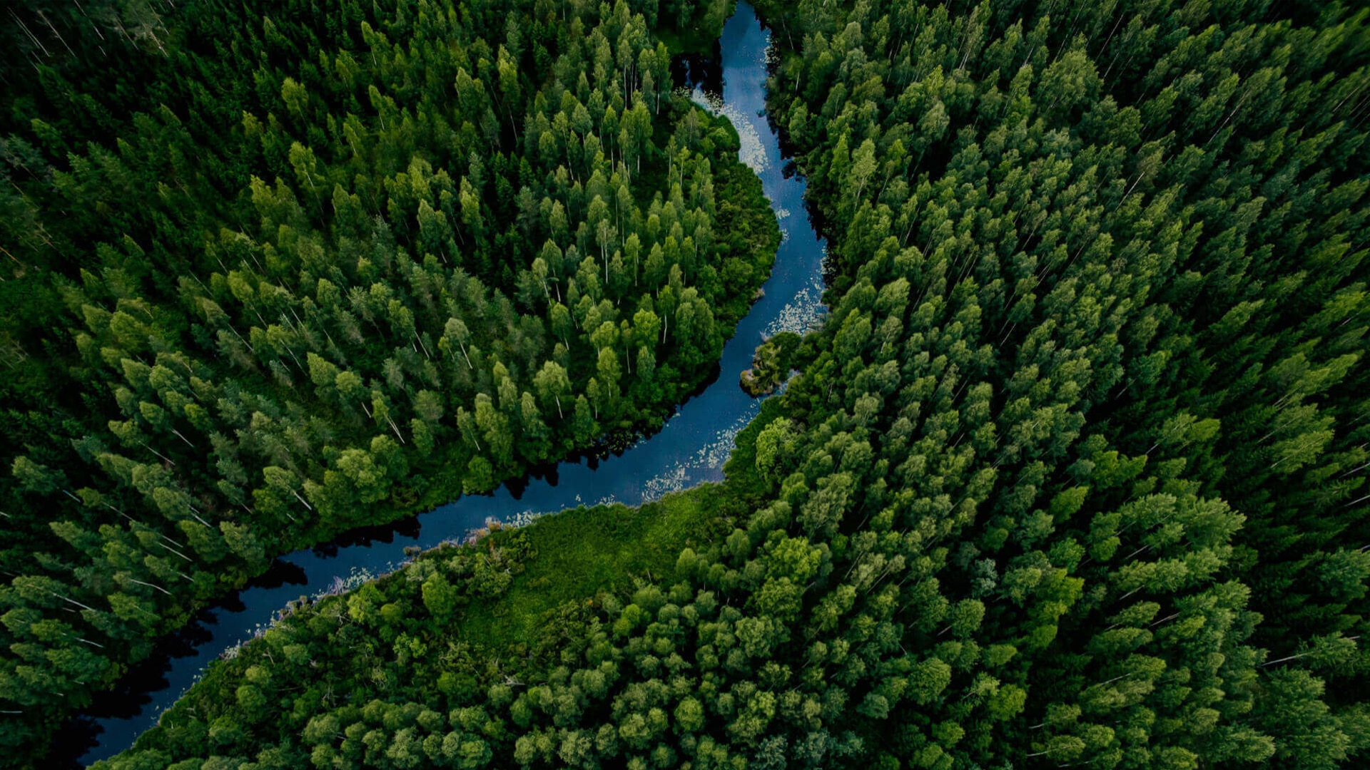 Environmental