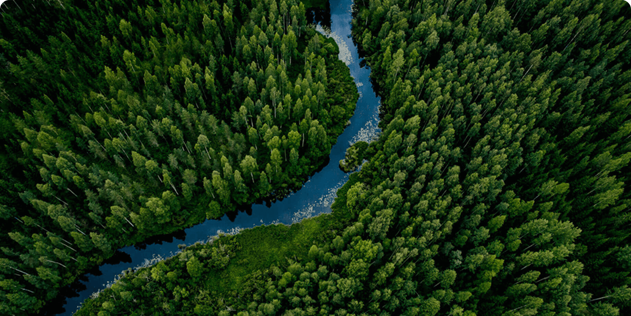 Build a green and sustainable supply chain 1